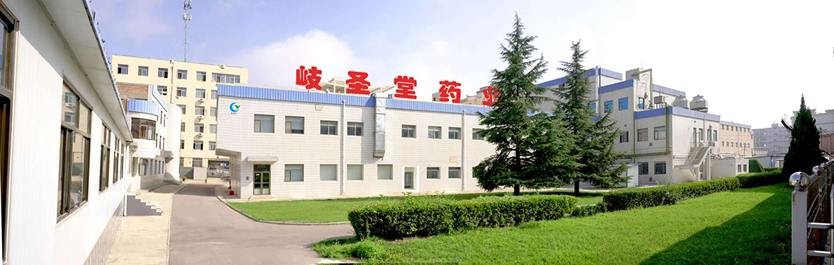 公司全景